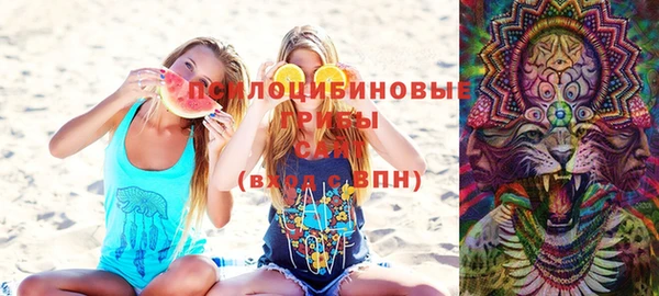 молекула духа Магас