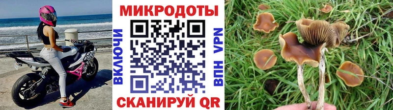 Купить  Балабаново  Галлюциногенные грибы мицелий 